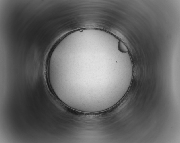 X0000089341043200707131508