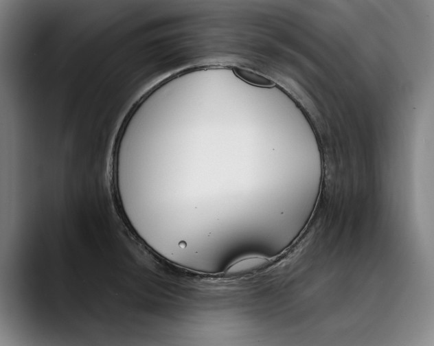 X0000089341044200707131508