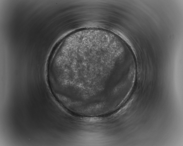 X0000089341045200707131508