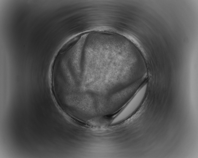 X0000089341046200707131508