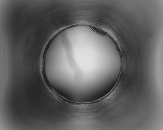 X0000089341048200707131508