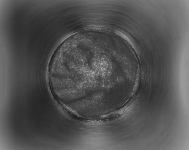 X0000089341050200707131508