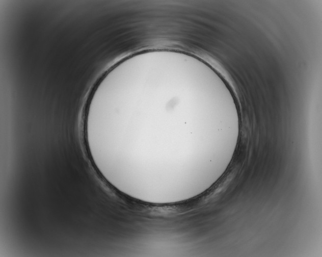 X0000089341053200707131508