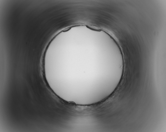 X0000089341056200707131508