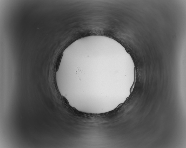 X0000089341057200707131508