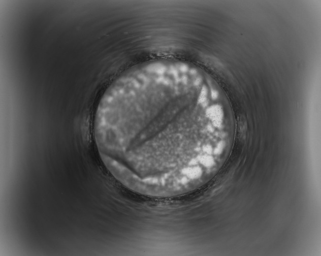 X0000089341060200707131508