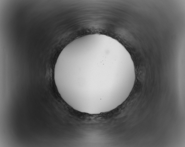 X0000089341061200707131508