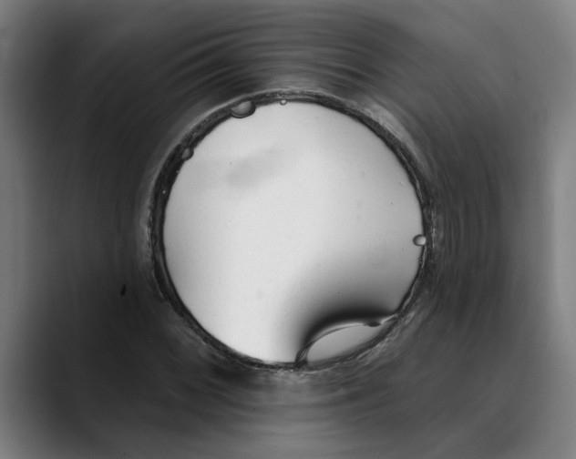 X0000089341068200707131508