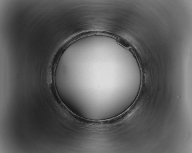 X0000089341069200707131508