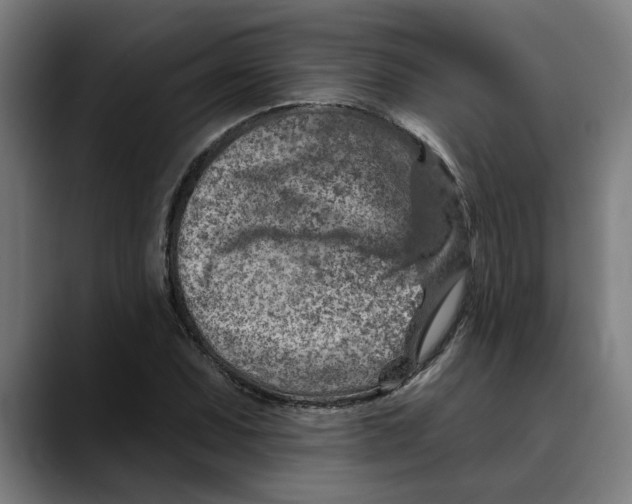 X0000089341071200707131508