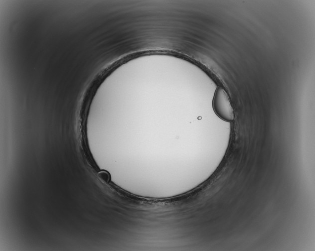 X0000089341072200707131508
