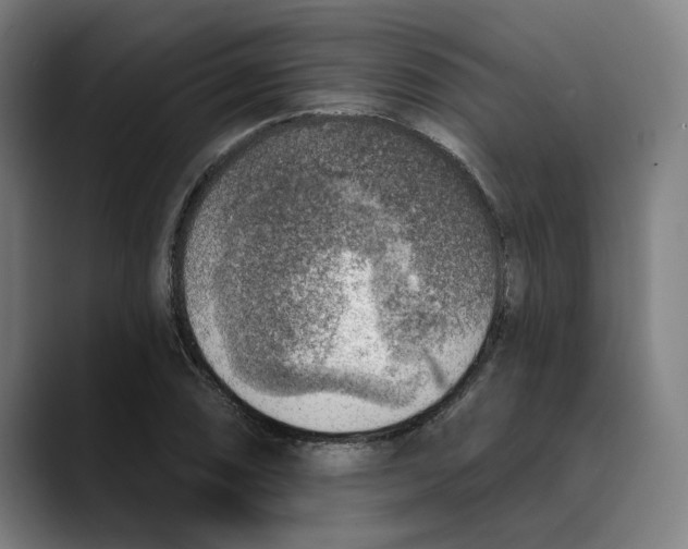 X0000089341074200707131508