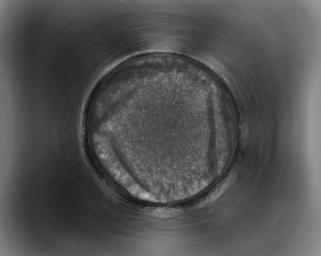 X0000089341077200707131508