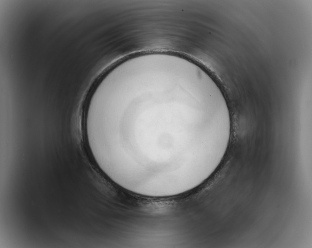 X0000089341078200707131508
