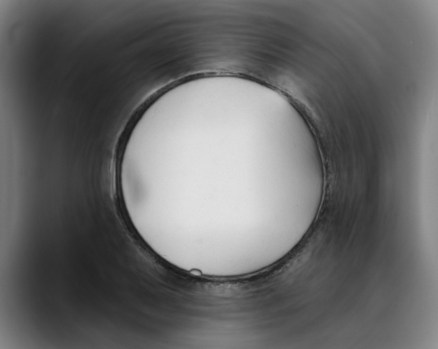 X0000089341079200707131508