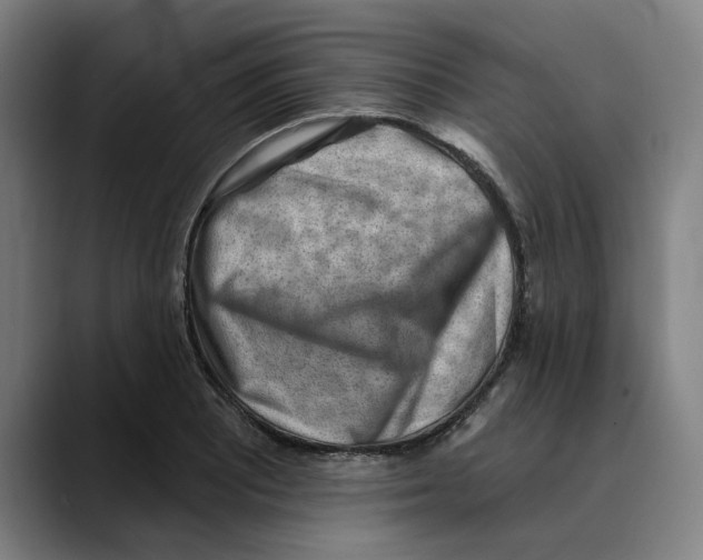 X0000089341081200707131507