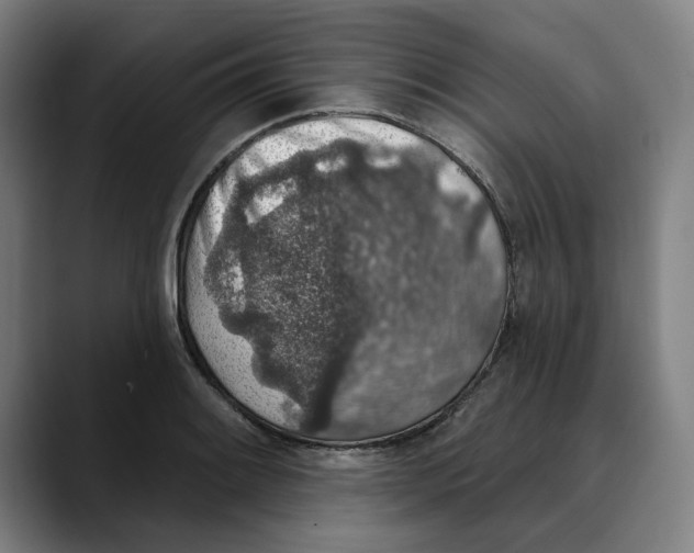 X0000089341084200707131507