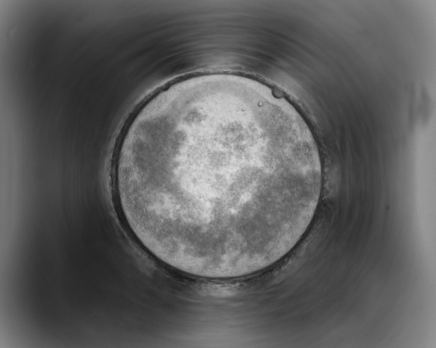 X0000089341086200707131507