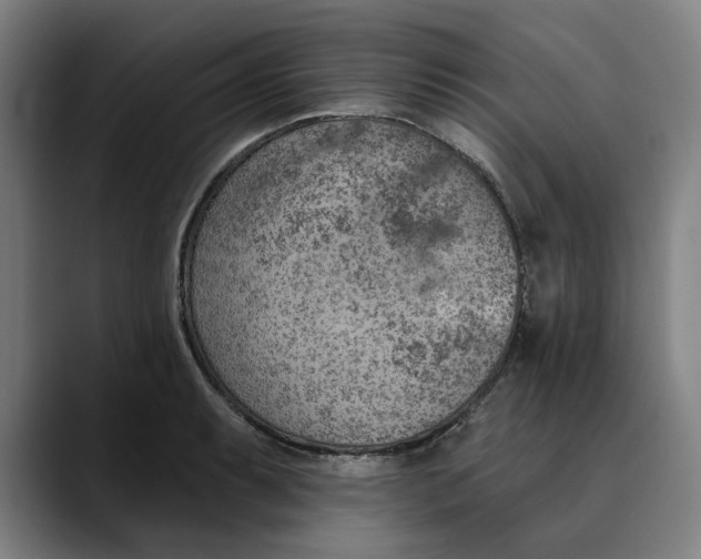 X0000089341087200707131507