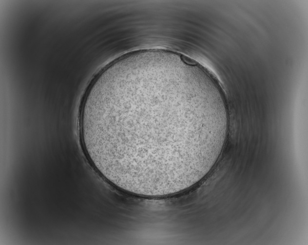 X0000089341088200707131507