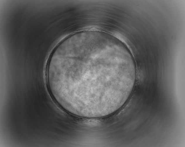 X0000089341090200707131507