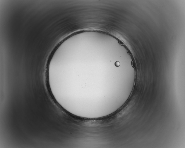 X0000089341093200707131507