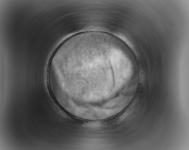 X0000089341094200707131507