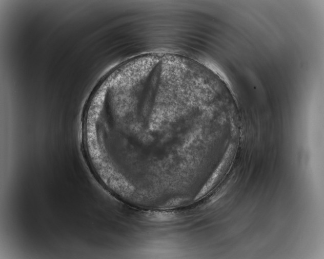 X0000089341095200707131507