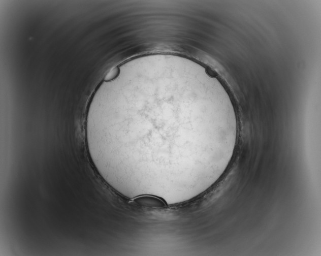 X0000089341097200707131507