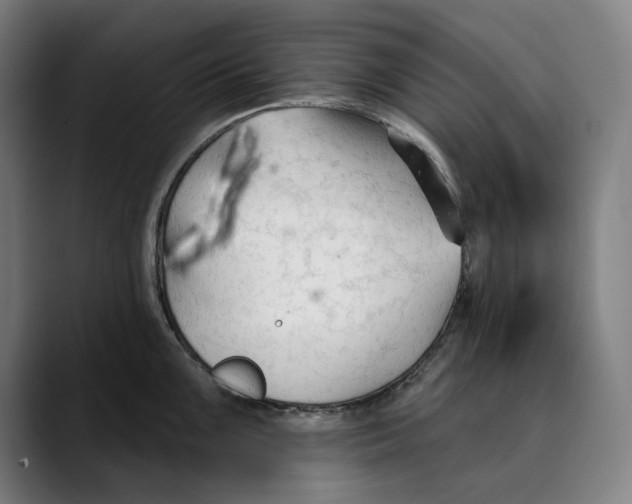 X0000089341099200707131507
