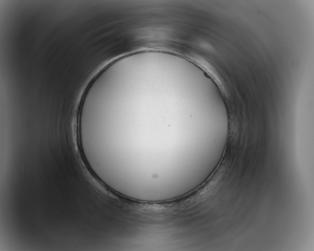 X0000089341100200707131507