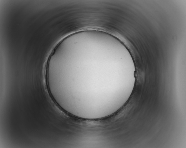 X0000089341102200707131507