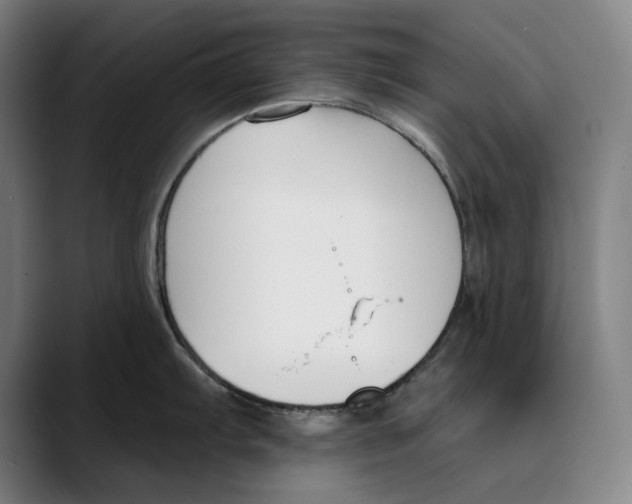 X0000089341103200707131507