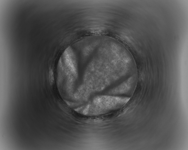 X0000089341106200707131507