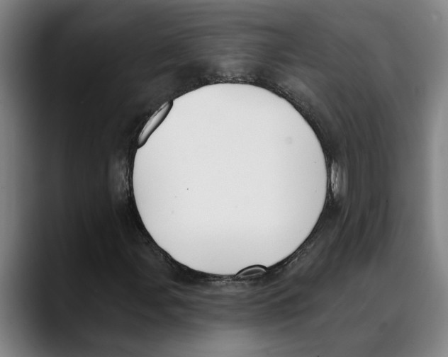 X0000089341107200707131507