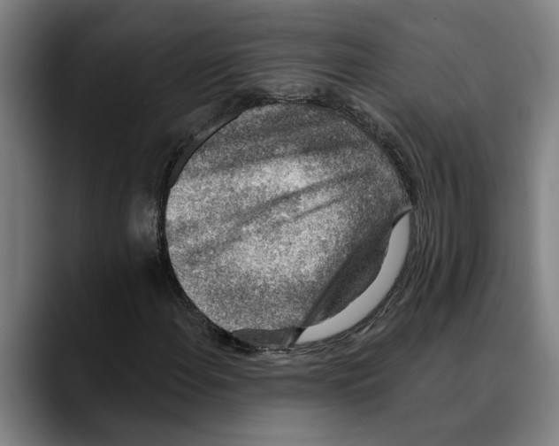 X0000089341108200707131507