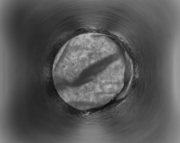 X0000089341110200707131507