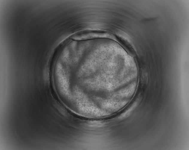 X0000089341114200707131507