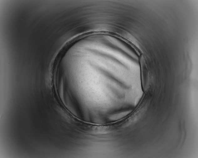 X0000089341116200707131507