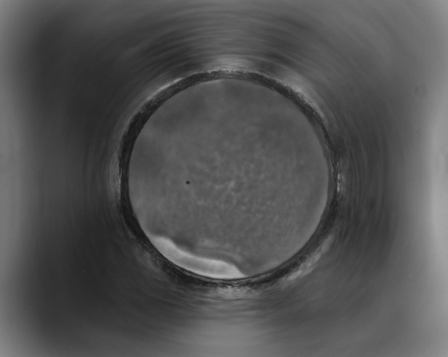X0000089341117200707131507