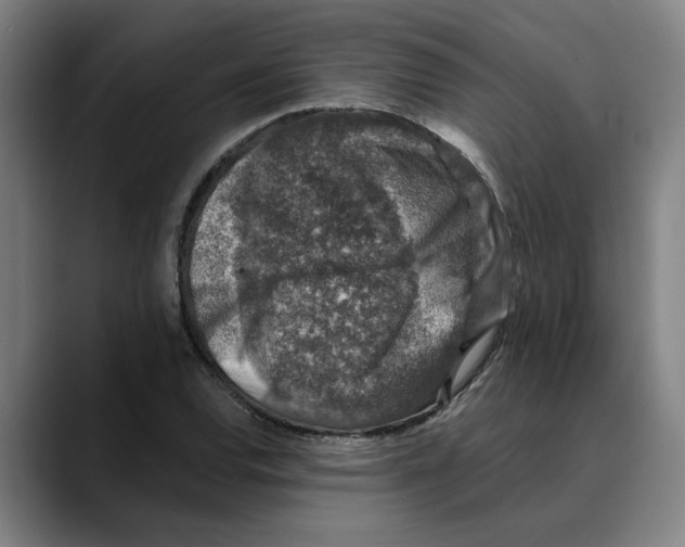 X0000089341120200707131507