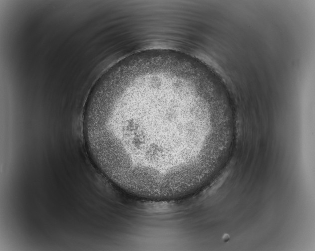 X0000089341121200707131507