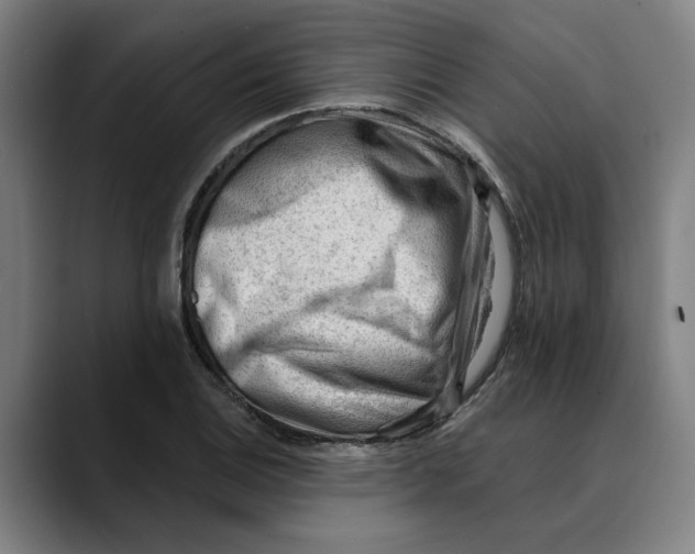 X0000089341124200707131507
