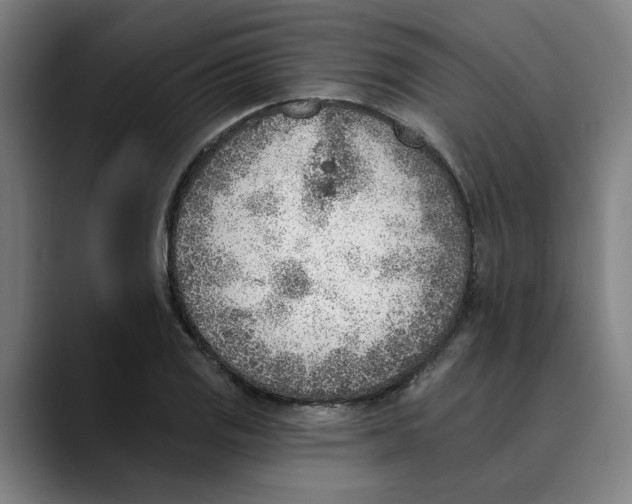 X0000089341125200707131507