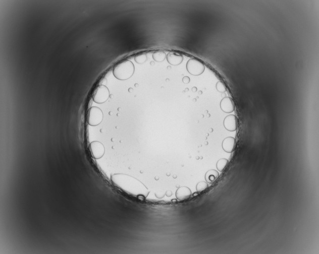 X0000089341126200707131507