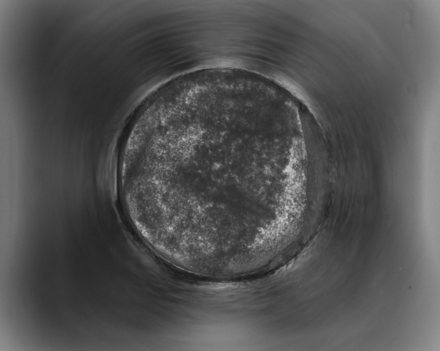 X0000089341127200707131507