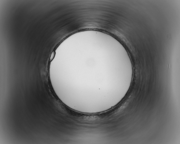 X0000089341129200707131507