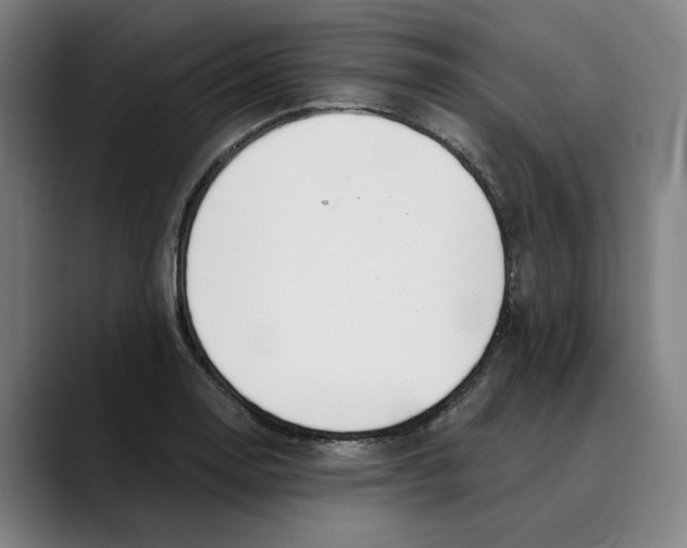 X0000089341130200707131507