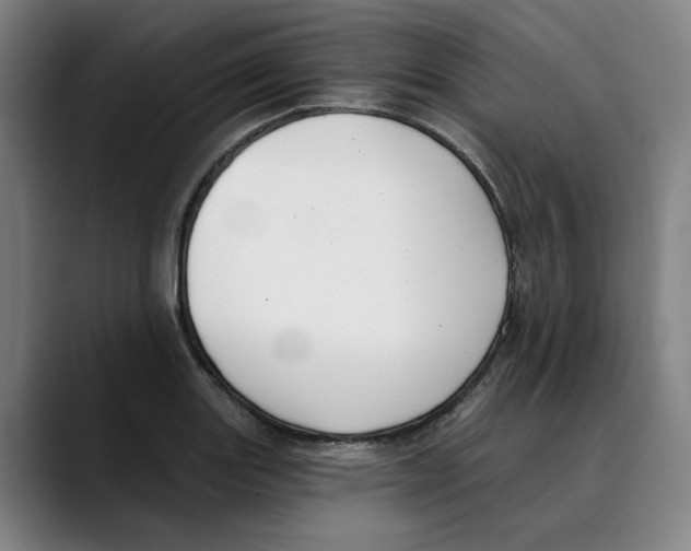 X0000089341131200707131507