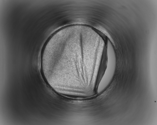 X0000089341132200707131507